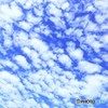 mottled