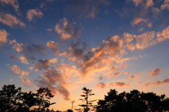 焼けの空