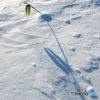 ｓｎｏｗ　ｓｈａｄｏｗ