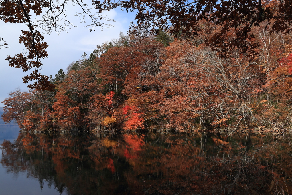 the end of autumn 