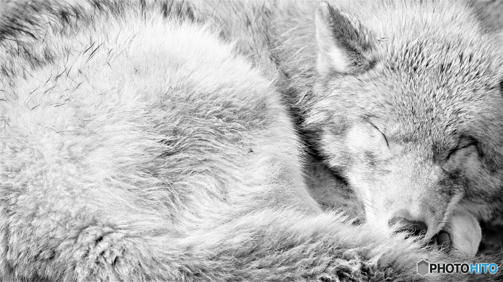 ｄｒｅａｍｉｎｇ．．．