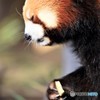 く～、たまんねーぜ