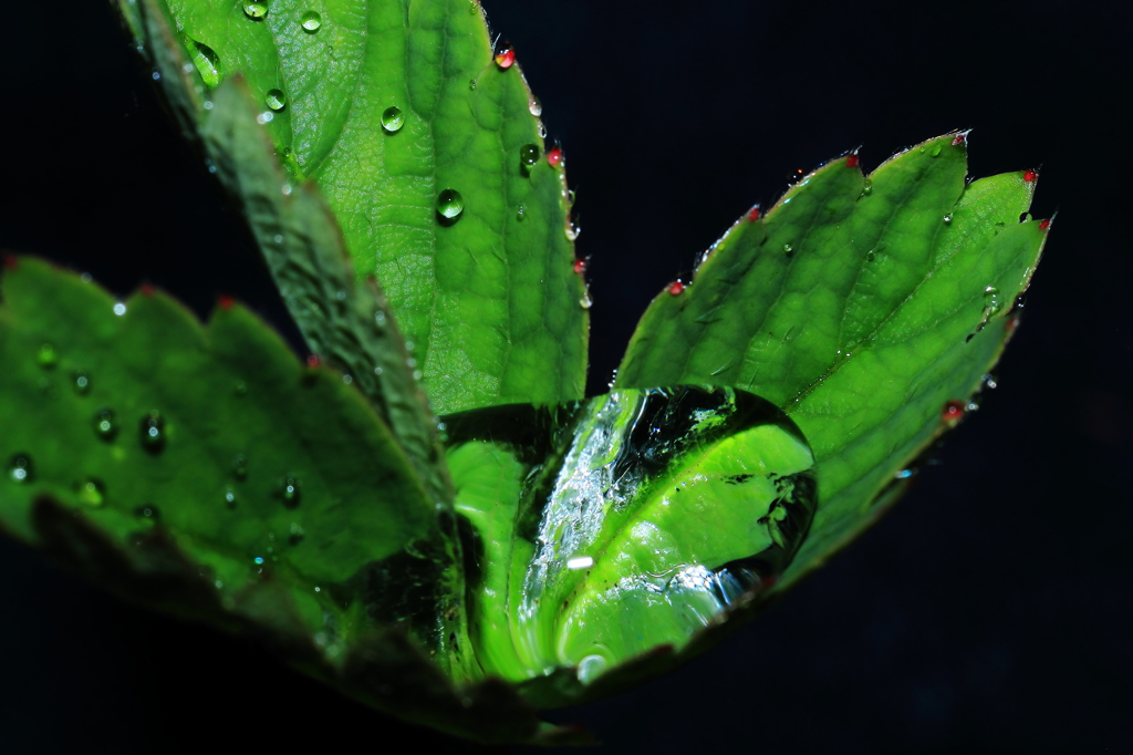 crystal drop