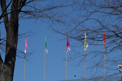 国立競技場にたなびく５色の旗
