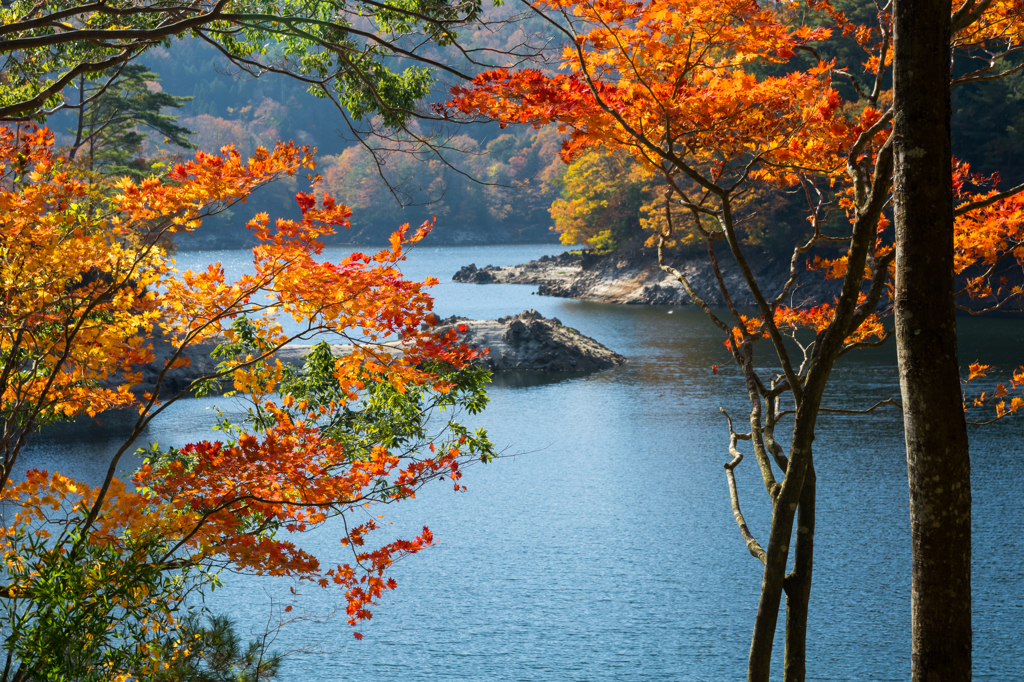 三河湖の秋