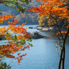 三河湖の秋