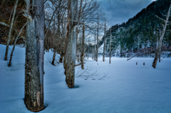 湖上の雪原