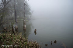 霧の湖畔２