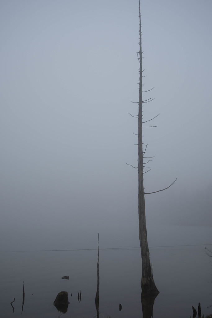 霧の余白