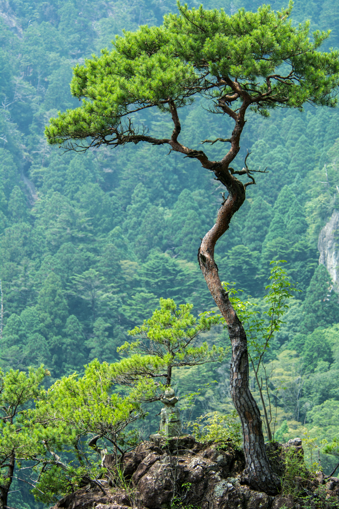 鳳来寺山一景