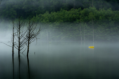 雨の自然湖３