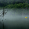 雨の自然湖３