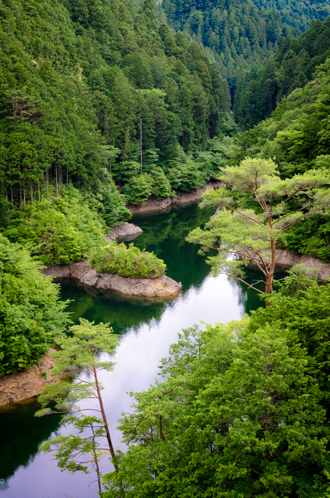 朝霧湖