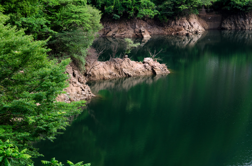 深緑の湖面