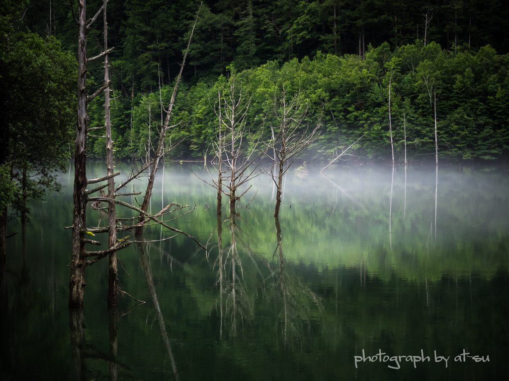 雨の自然湖