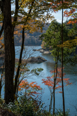 三河湖の秋２