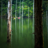 自然湖
