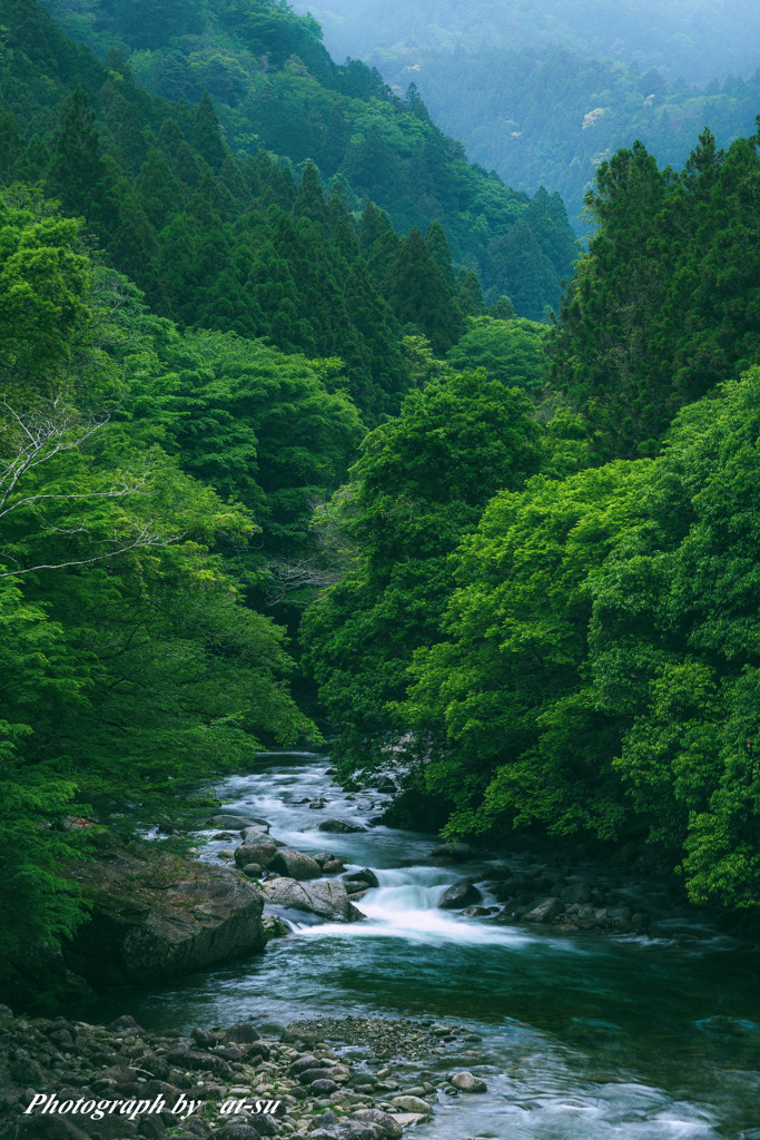 眺流