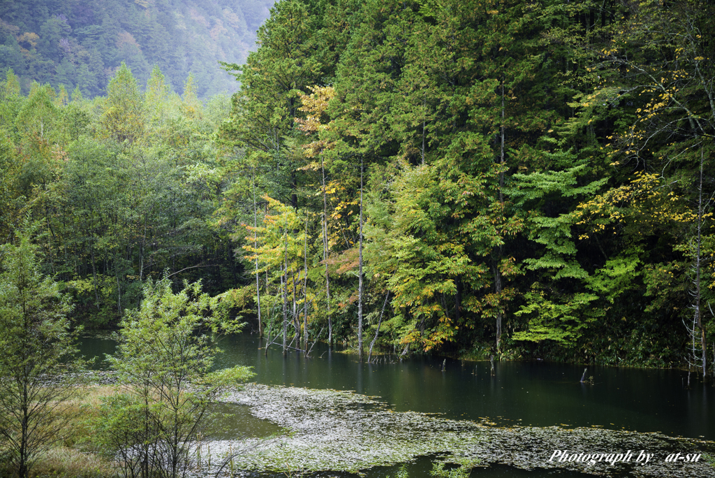 初秋の水辺