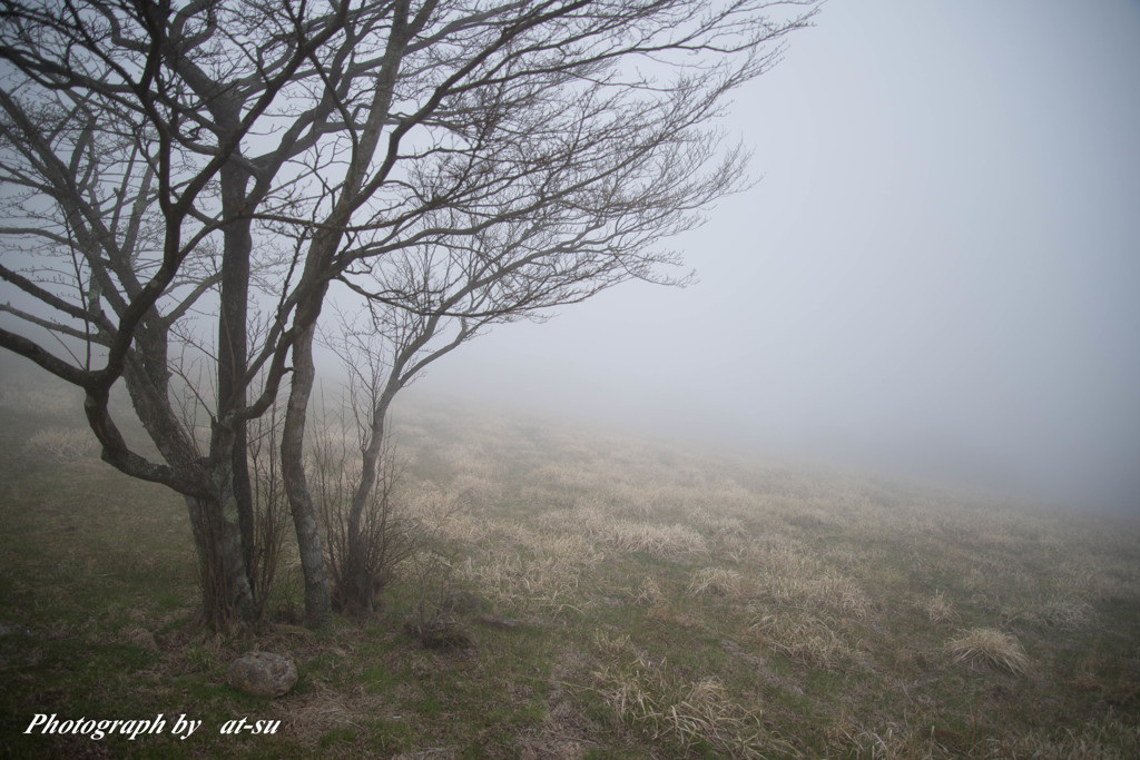 霧の向こうへ