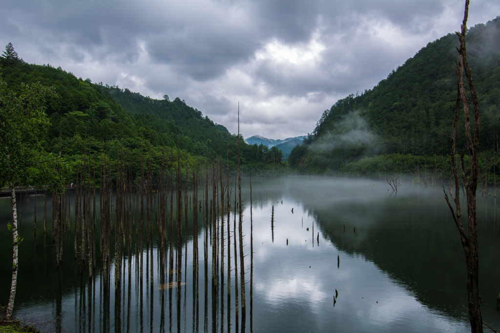 雨の自然湖５