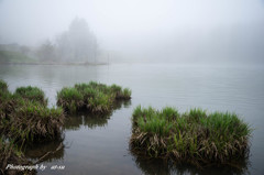 霧の矢筈池