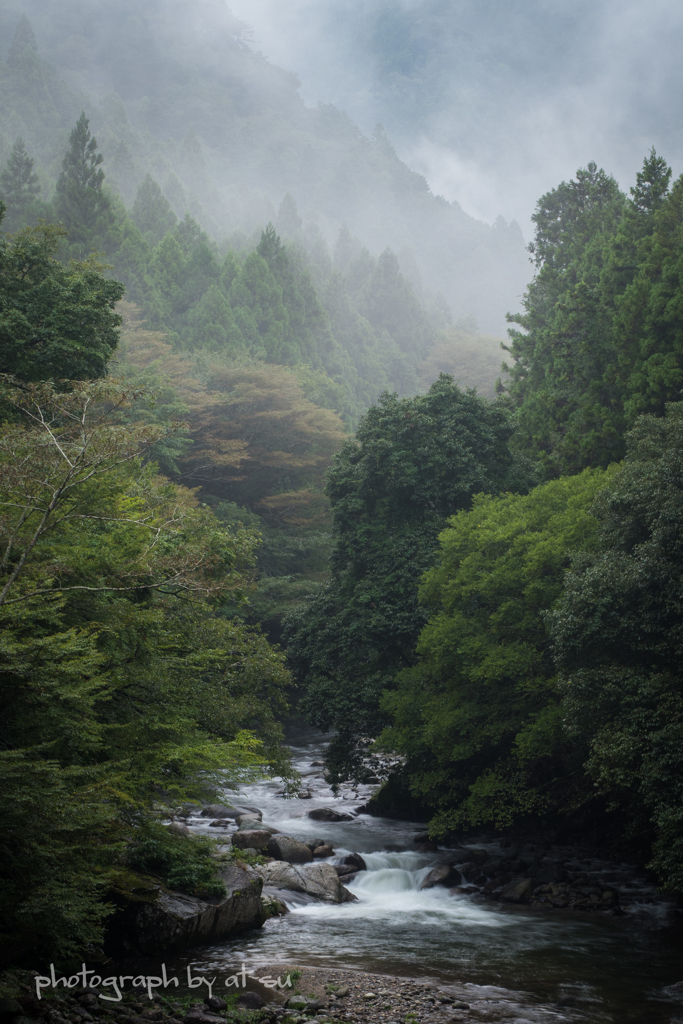 雨中涼景