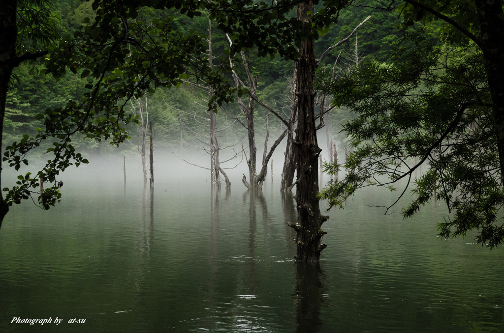 雨の自然湖
