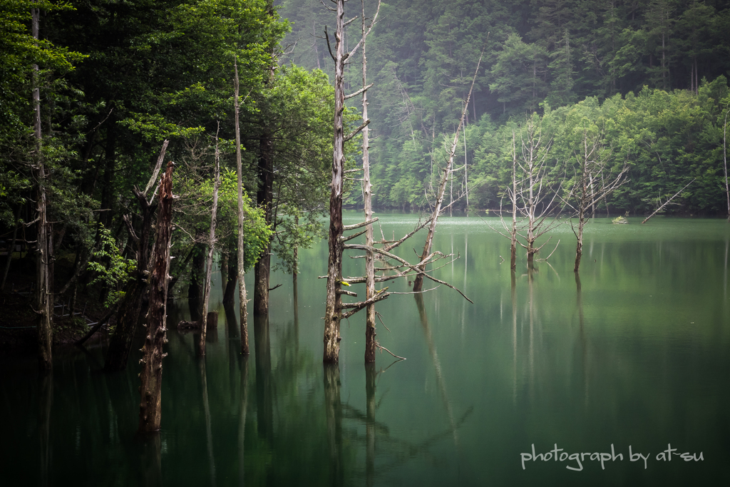 雨の自然湖２