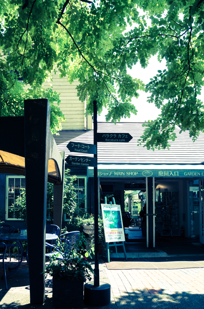 緑色の日陰にて