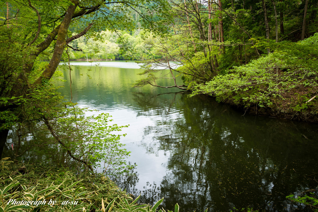 湖の入り江