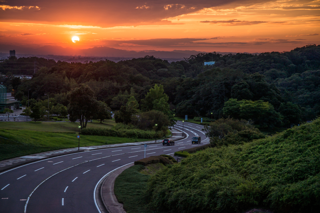歩道橋から西の空を見てた