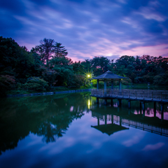 岡崎東公園夕景 