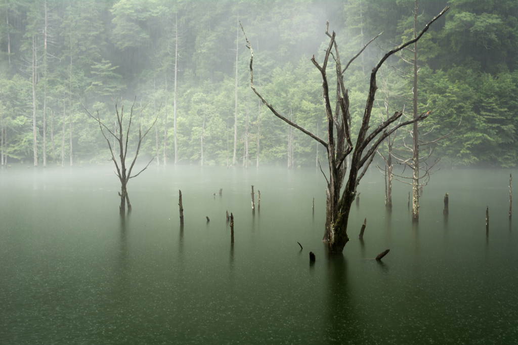 雨の自然湖２