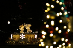 東京ディズニーシーのクリスマス飾り