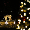東京ディズニーシーのクリスマス飾り