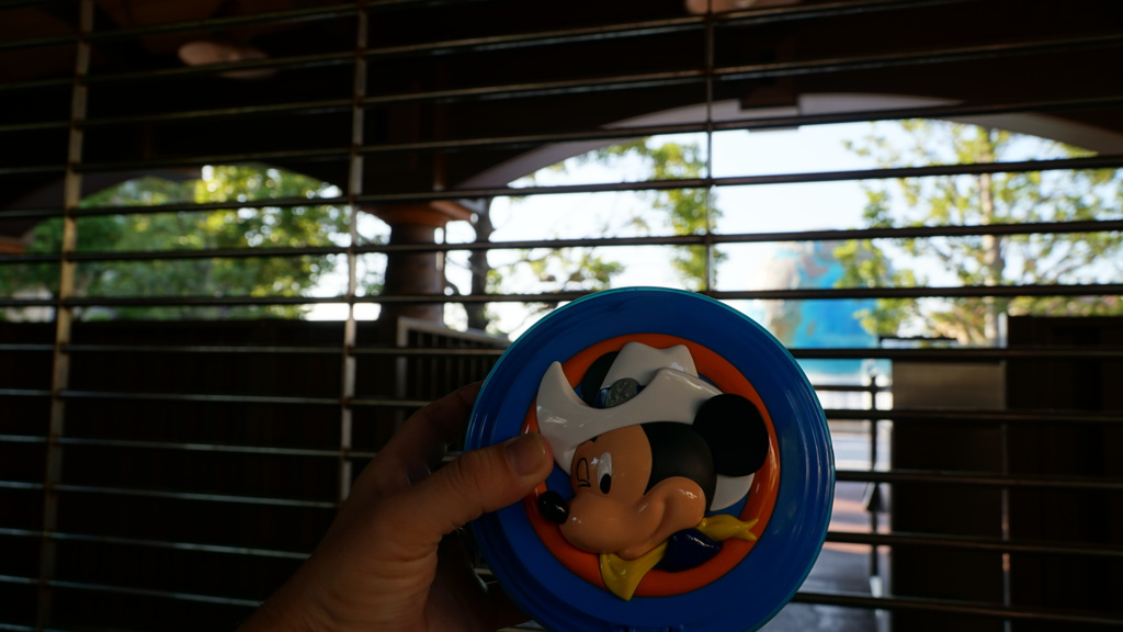アーリーモーニング　TDS