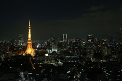 東京ライトアップ
