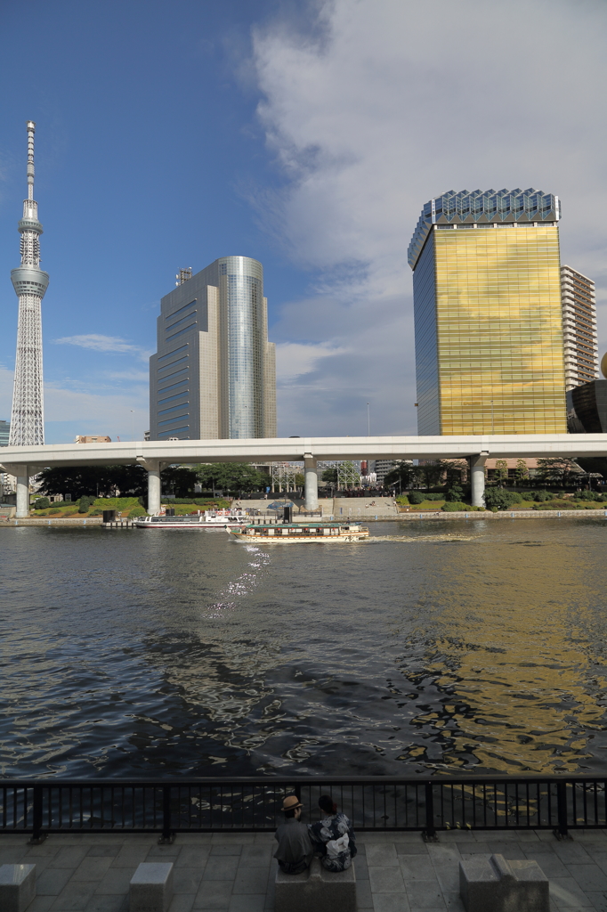 川辺の風景