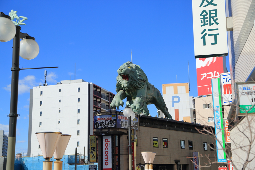 えっと、ライオンさんです。