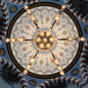 TOKYO CAMII 5