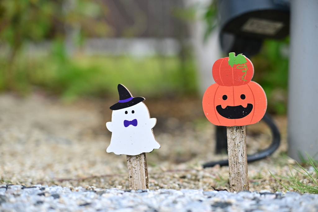 来年もよろしく