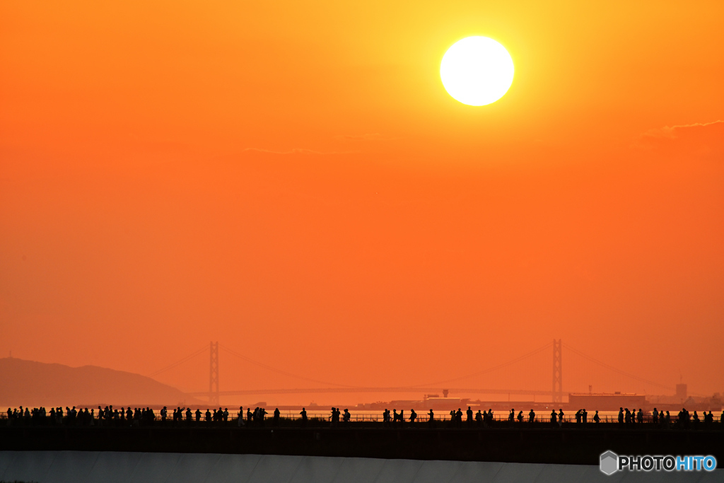 大屋根リング越しの明石海峡大橋と夕陽