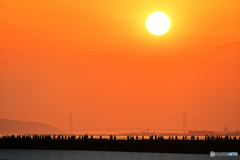 大屋根リング越しの明石海峡大橋と夕陽