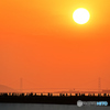 大屋根リング越しの明石海峡大橋と夕陽