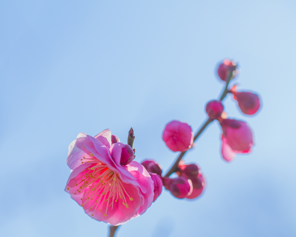 はじまり