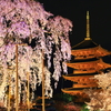 東寺