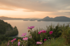 Cosmos in Lake Toya