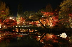 永観堂・禅林寺にて