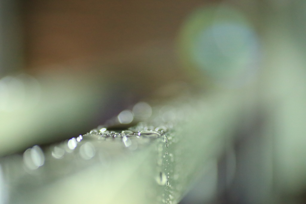 優しい雨